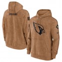 Arizona Cardinals 2023 Brown Salute To Service Pullover Hoodie