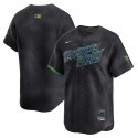 Tampa Bay Rays Blank Charcoal 2024 City Connect Limited Stitched Jersey