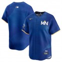 Minnesota Twins Blank Royal 2024 City Connect Limited Stitched Jersey