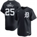 Detroit Tigers #25 Gleyber Torres Black Limited Stitched Jersey