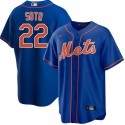 New York Mets #22 Juan Soto Royal 2024 Cool Base Limited Stitched Jersey