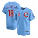 Chicago Cubs #18 Shōta Imanaga Blue 2024 25 2nd Alternate Limited Stitched Jersey