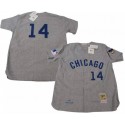 Chicago Cubs #14 Ernie Banks Gray 1969 Mitchell Ness Stitched Jersey