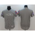 Chicago Cubs Blank Gray World Series Champions Gold Program Flexbase Stitched Jersey