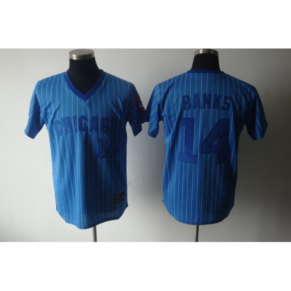 Cubs #14 Ernie Banks Blue White Strip Stitched Cooperstown Throwback Jersey