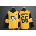 Pittsburgh Penguins #66 Mario Lemieux Gold Stitched Jersey