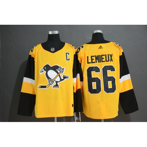 Pittsburgh Penguins #66 Mario Lemieux Gold Stitched Jersey