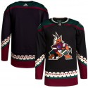 Arizona Coyotes Blank Black Stitched Jersey