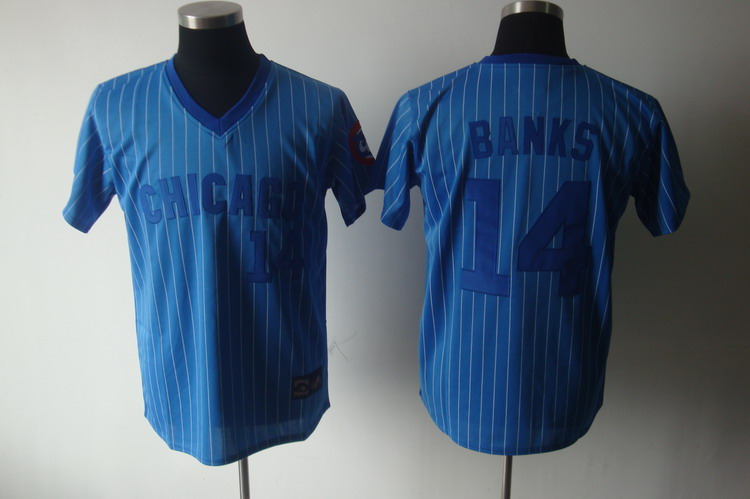 Cubs #14 Ernie Banks Blue White Strip Stitched Cooperstown Throwback Jersey