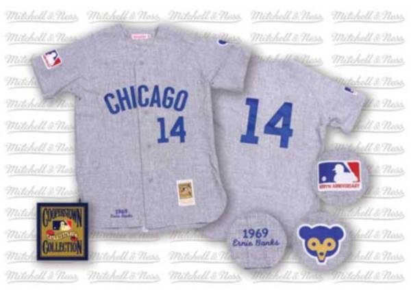 Mitchell And Ness Cubs #14 Ernie Banks Stitched Grey Throwback Jersey
