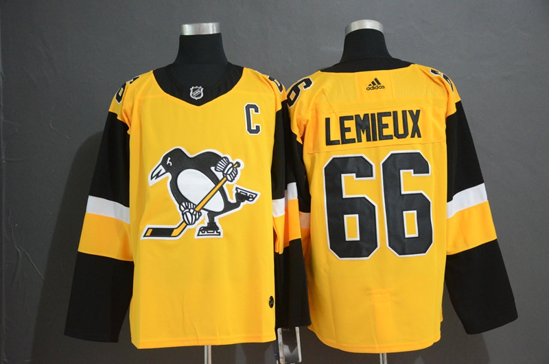 Pittsburgh Penguins #66 Mario Lemieux Gold Stitched Jersey